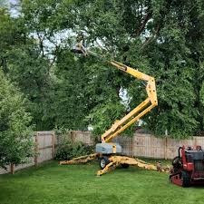 Grass Overseeding in Huntington Bay, NY